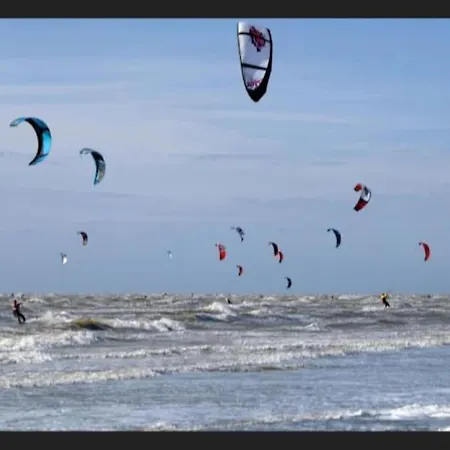 Des églantiers Baie De Somme * Cayeux-sur-Mer