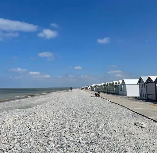 Des églantiers Baie De Somme