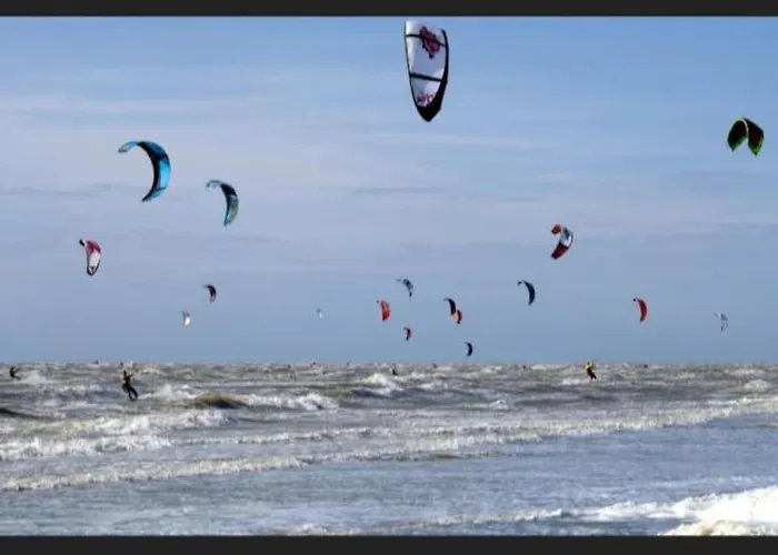Des églantiers Baie De Somme * Cayeux-sur-Mer